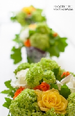 copyright flowertuft