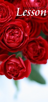 flowertuft lesson.jpg