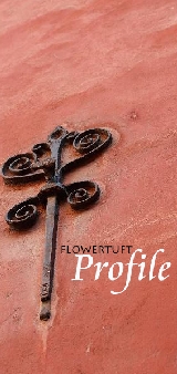 flowertuft profile.jpg
